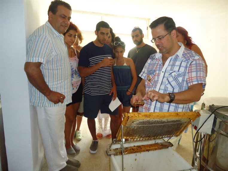 9th Annual Honey Harvest Event 